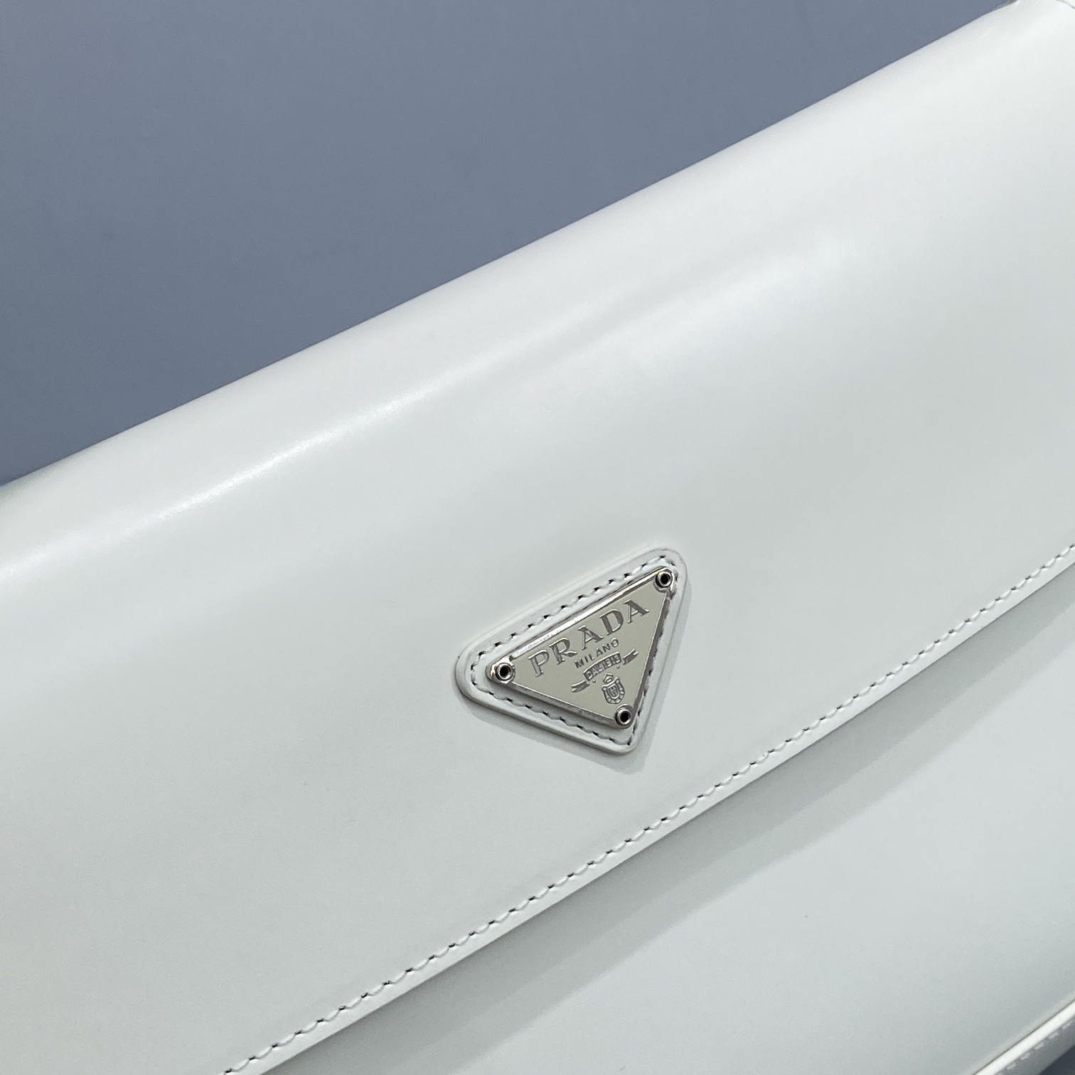 Prada_Cleo_Handbags-Pate